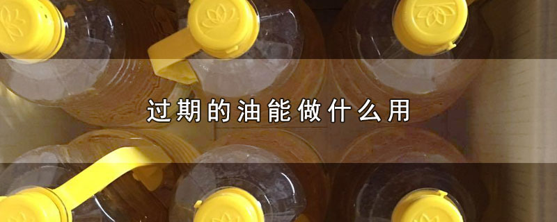 过期的油能做什么用