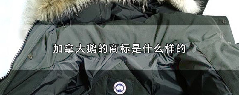 加拿大鹅的商标是什么样的