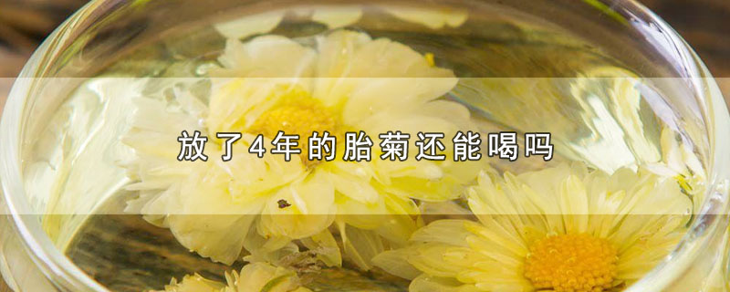 放了4年的胎菊还能喝吗