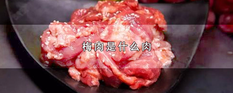 梅肉是什么肉