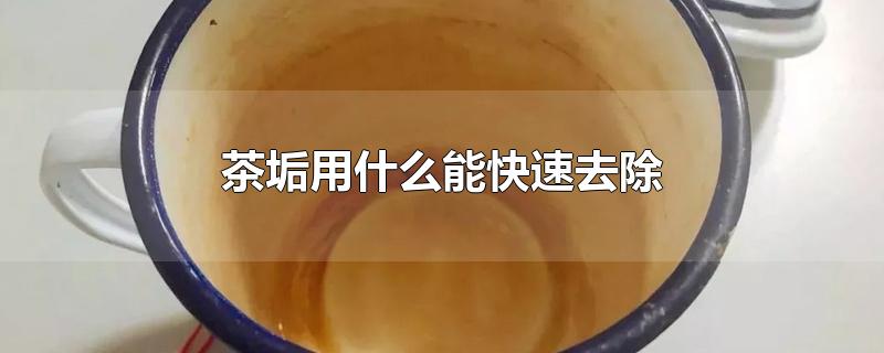 怎样快速去茶垢