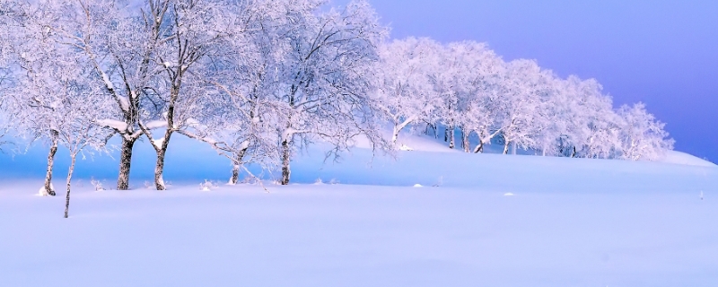 雪是怎么形成的