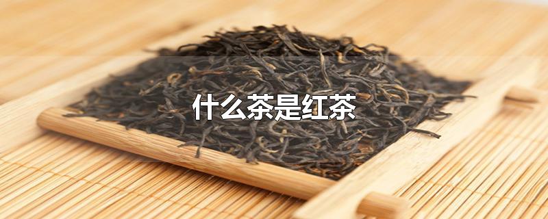 什么茶是红茶