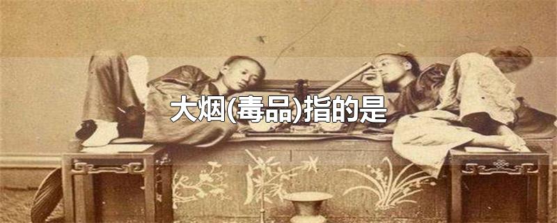 大烟(毒品)指的是