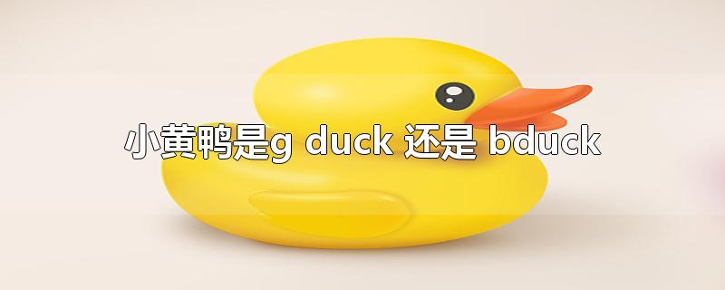 小黄鸭是g duck 还是 bduck