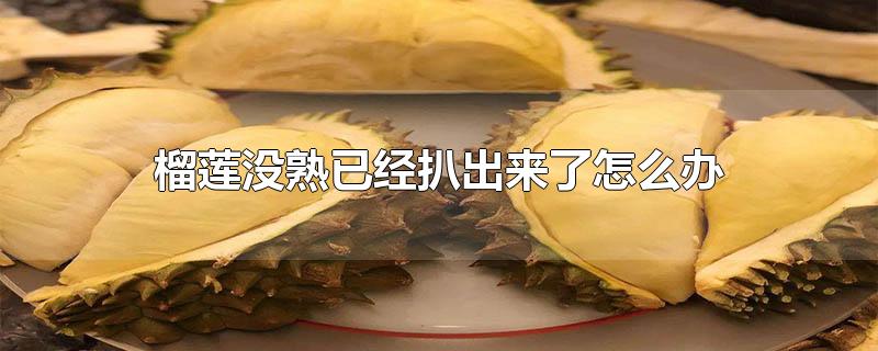 榴莲没熟已经扒出来了怎么办