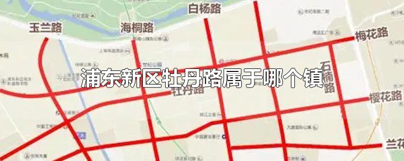 浦东新区牡丹路属于哪个镇