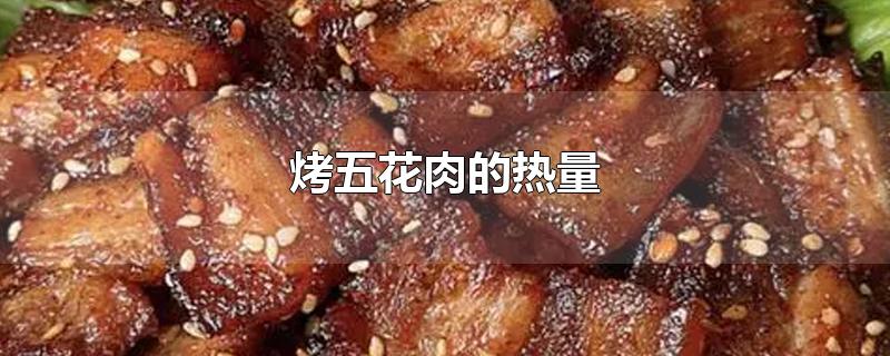 烤五花肉的热量