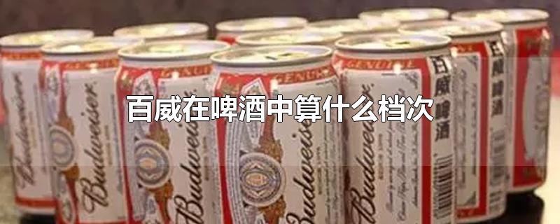 百威在啤酒中算什么档次