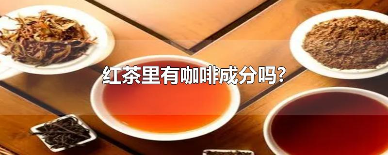 红茶里有咖啡成分吗?