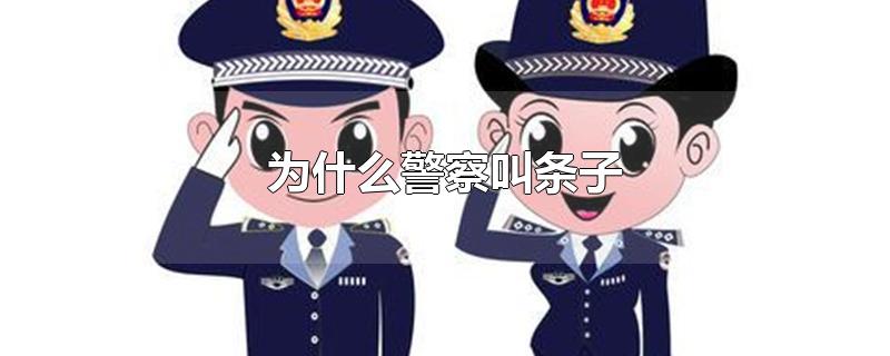 为什么警察叫条子