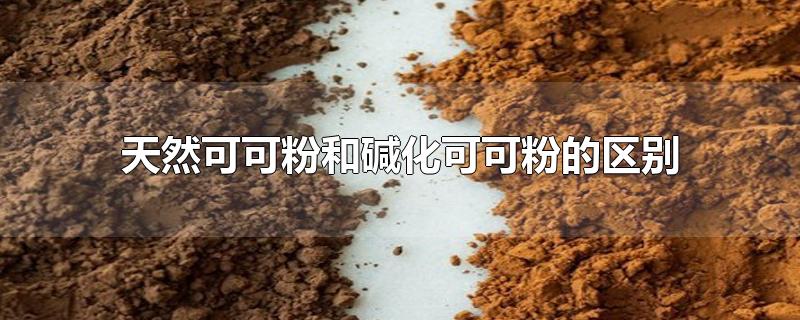 天然可可粉和碱化可可粉的区别