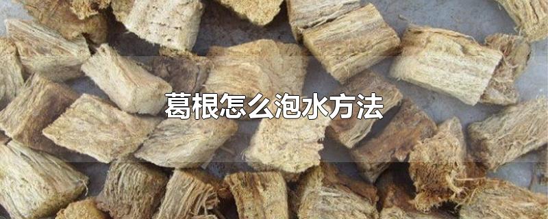 葛根怎么泡水方法