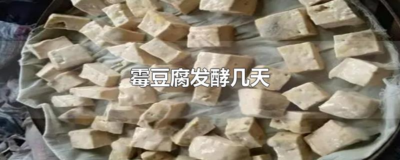 霉豆腐发酵几天