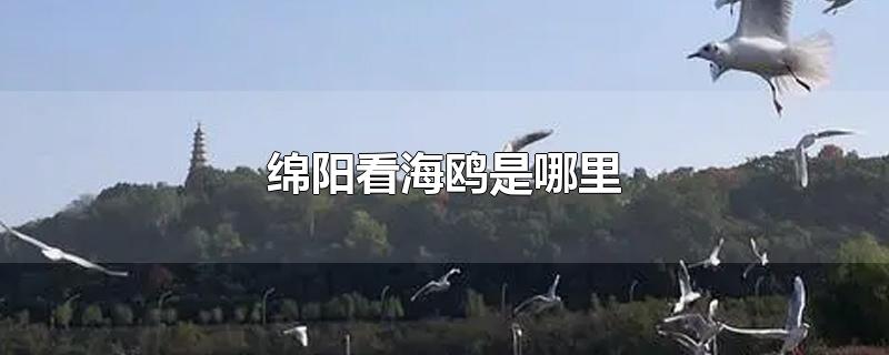 绵阳看海鸥是哪里