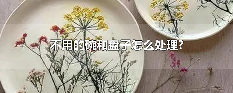 不用的碗和盘子怎么处理?