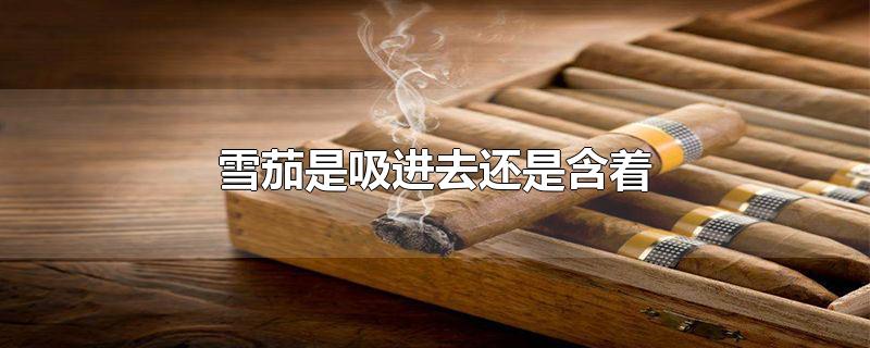 雪茄是吸进去还是含着