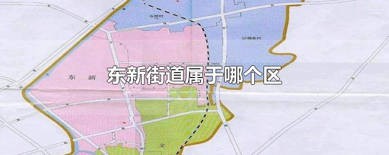 东新街道属于哪个区