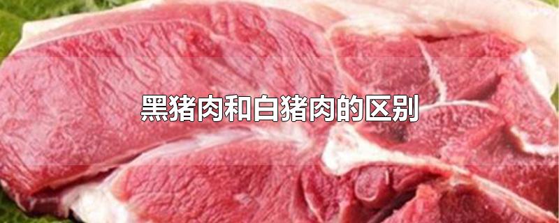 黑猪肉和白猪肉的区别