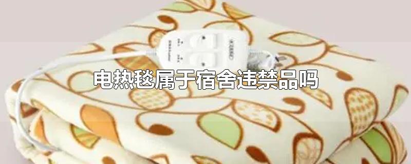 电热毯属于宿舍违禁品吗