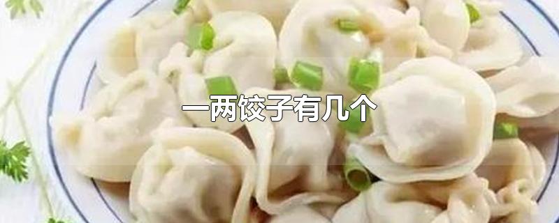 一两饺子有几个