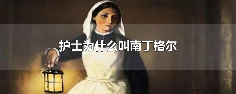 护士为什么叫南丁格尔