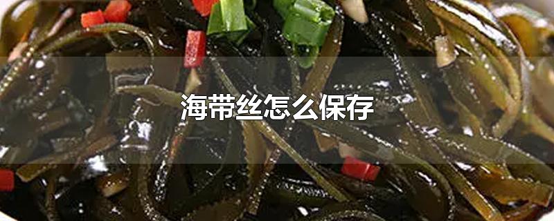 海带丝怎么保存