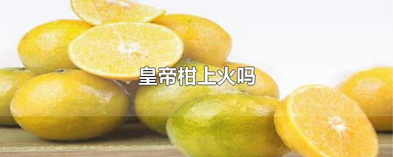 皇帝柑上火吗