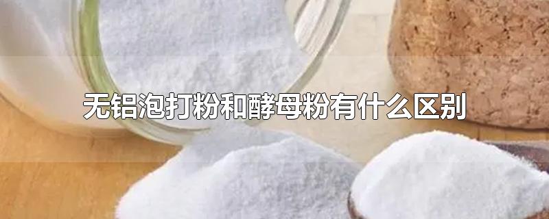 无铝泡打粉和酵母粉有什么区别