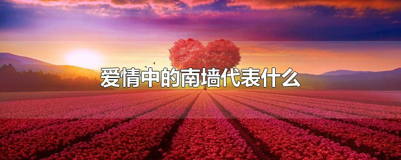 爱情中的南墙代表什么