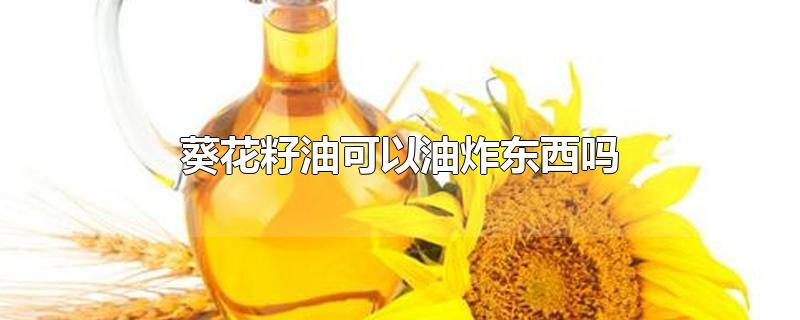 葵花籽油可以油炸东西吗