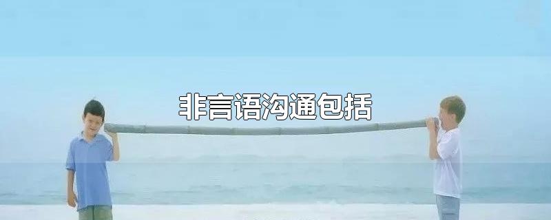 非言语沟通包括