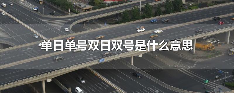 单日单号双日双号是什么意思