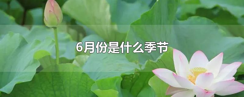 6月份是什么季节