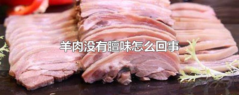 羊肉没有膻味怎么回事