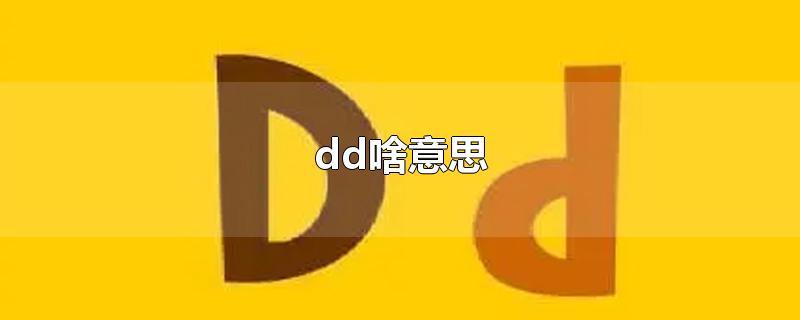 dd啥意思