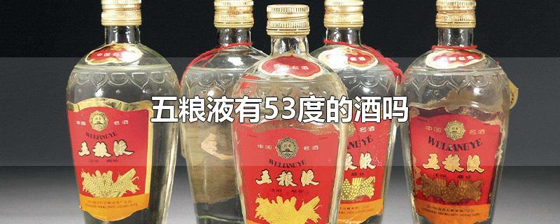 五粮液有53度的酒吗