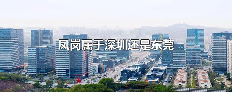 凤岗属于深圳还是东莞