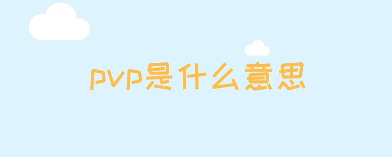 pvp是什么意思