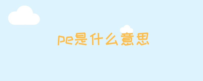 pe是什么意思