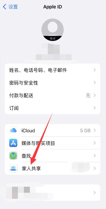 iphone家庭共享怎么各自付款