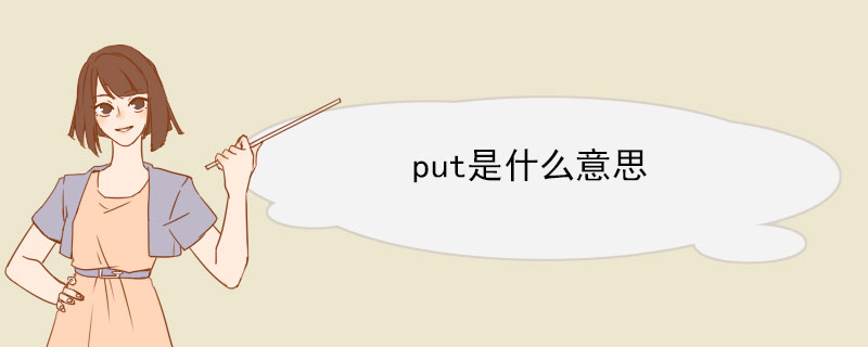 put是什么意思 put的例句