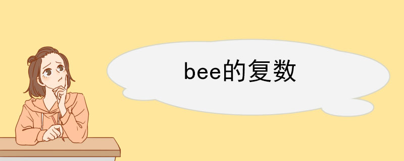 bee的复数 bee的用法