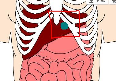 左边肋骨下方隐痛是怎么回事-为什么左边肋骨下方隐痛