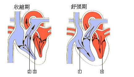 低压正常高压高的原因-低压正常高压高怎么回事