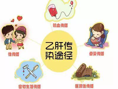 夫妻间传染乙肝的概率-夫妻间传染乙肝的概率大吗