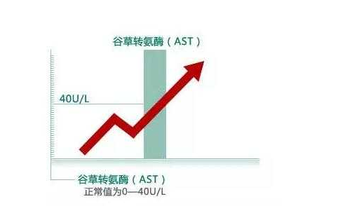 谷草转氨酶偏高的原因-谷草转氨酶偏高怎么回事