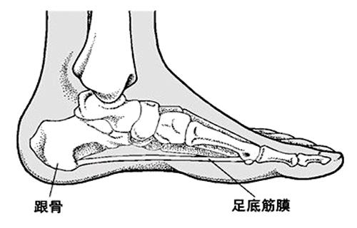 脚疼是怎么回事-导致脚疼的原因有哪些