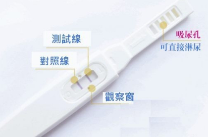 验孕棒怎么使用的-验孕棒使用方法介绍