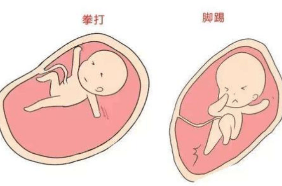 怀男宝宝的准确特征-怀男宝宝的准确特征介绍